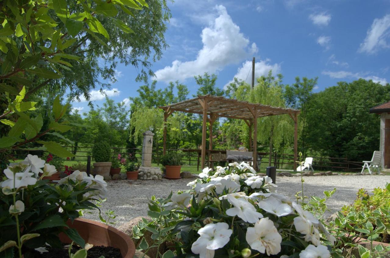 Bb Il Grande Salice Bike Friends Bed & Breakfast Ponti sul Mincio Dış mekan fotoğraf