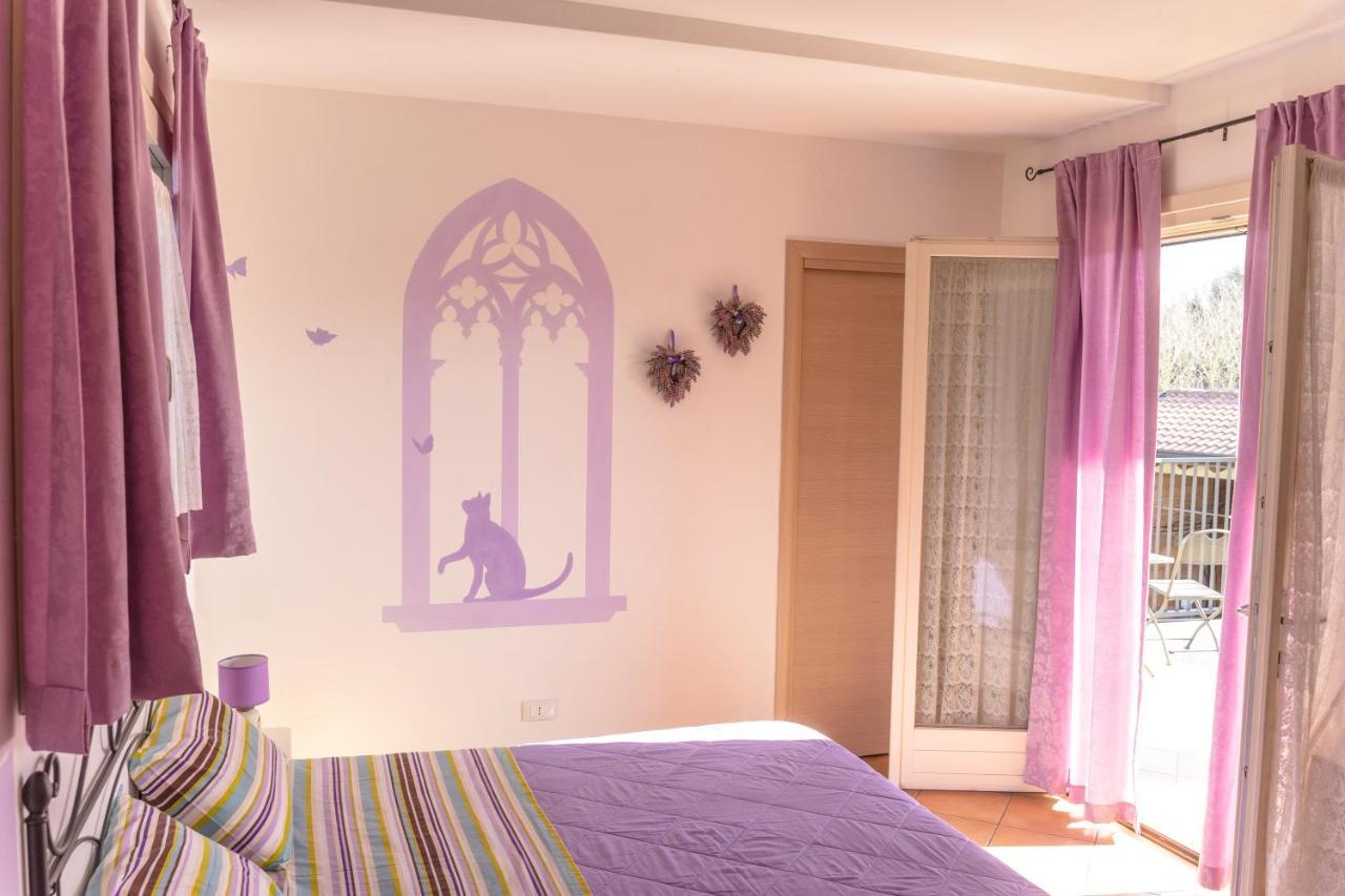 Bb Il Grande Salice Bike Friends Bed & Breakfast Ponti sul Mincio Dış mekan fotoğraf