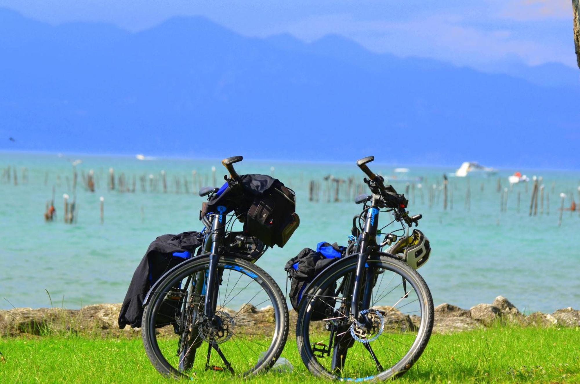 Bb Il Grande Salice Bike Friends Bed & Breakfast Ponti sul Mincio Dış mekan fotoğraf
